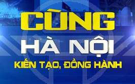 Triển khai chuyên mục 