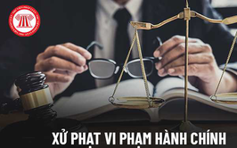 Quyết định Xử phạt Vi phạm hành chính trong lĩnh vực An toàn thực phẩm