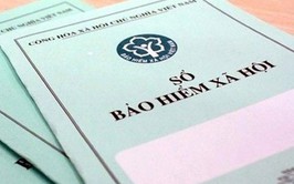 Tình hình nợ đọng BHXH, BHYT, BHTN tháng 10 năm 2025