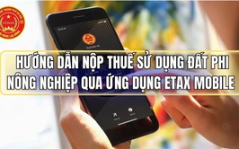 Hướng dẫn nộp thuế đất phi nông nghiệp trên ứng dụng eTax Mobile