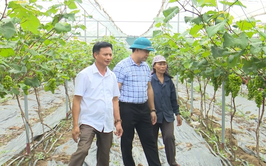 Ông Nguyễn Văn Tuấn – Trưởng thôn năng động, nhiệt tình