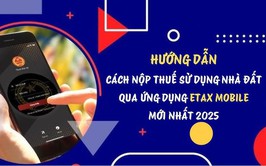 Hà Nội chỉ đạo triển khai thu thuế sử dụng đất phi nông nghiệp năm 2025 bằng phương thức điện tử
