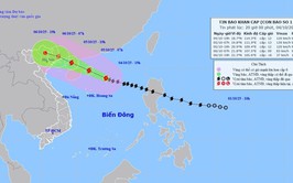 Chủ tịch UBND thành phố Hà Nội chỉ đạo khẩn trương ứng phó bão số 11