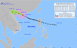 Phường Hà Đông ban hành phương án số 06/PA-BCH nhằm ứng phó cơn bão số 11 (bão Matmo)