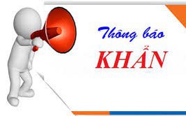 Sở Giáo dục - Đào tạo Hà Nội chỉ đạo linh hoạt hình thức dạy học, chủ động ứng phó với bão số 11