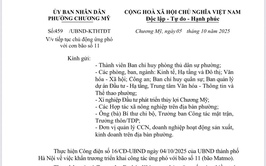 Chủ động ứng phó với cơn bão số 11