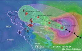 HỎA TỐC: CHỦ ĐỘNG ỨNG PHÓ MƯA LỚN DO HOÀN LƯU BÃO SỐ 11 (MATMO) 
