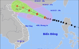 PHƯỜNG VĂN MIẾU – QUỐC TỬ GIÁM CHỦ ĐỘNG TRIỂN KHAI CÁC BIỆN PHÁP ỨNG PHÓ VỚI BÃO SỐ 11 (BÃO MATMO)