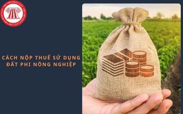 UBND xã Sóc Sơn Hướng dẫn nộp thuế sử dụng đất phi nông nghiệp qua ứng dụng eTax Mobile