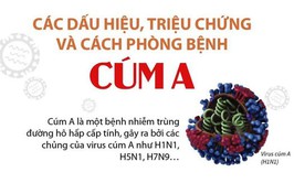 CÚM A CÓ DẤU HIỆU GIA TĂNG – NGƯỜI DÂN CẦN LƯU Ý