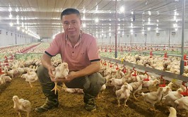 Kỹ sư với mô hình chăn nuôi hiện đại ứng dụng công nghệ số hiệu quả