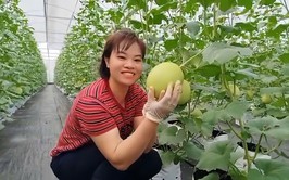 Tấm gương phụ nữ sáng tạo, nhiệt huyết sản xuất nông nghiệp sạch