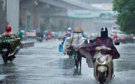 Ngày mai, Bắc bộ mưa rét, vùng núi cao rét đậm