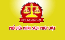 AI Luật Trên Sóng Chương Trình 