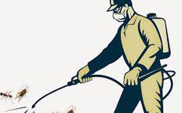 Triển khai phun hóa chất diệt muỗi, chủ động phòng chống sốt xuất huyết tại phường Đống Đa