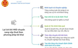 Hướng dẫn hộ kinh doanh nộp thuế theo phương pháp kê khai