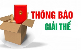 Thông báo về việc giải thể nhóm trẻ, lớp mẫu giáo độc lập Việt Đức - O’Hana