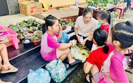 Lan tỏa hành trình xanh từ dự án “Đổi vỏ sữa và pin lấy cây”