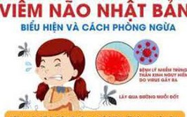 Chủ động phòng chống bệnh viêm não vi rút