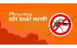 Các biện pháp phòng chống bệnh sốt xuất huyết