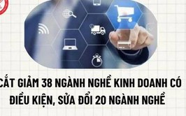 Bỏ giấy phép kinh doanh cho 38 ngành, nghề từ 01/7/2026
