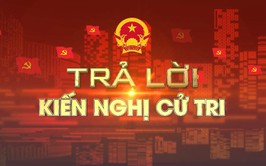 Câu hỏi: Đề nghị Thành phố chỉ đạo sớm đẩy nhanh tiến độ trùng tu, nâng cấp chùa Thụy Hương