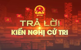 Câu hỏi: Đề nghị Thành phố lắp đèn tín hiệu giao thông trên Quốc lộ 2 đoạn giao cắt từ đường thôn Trung Na, xã Nội Bài với thôn Quán Mỹ, xã Kim Anh