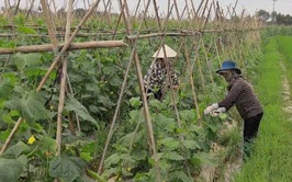 MẶT TRẬN TỔ QUỐC XÃ PHÚC SƠN – ĐIỂM TỰA VỮNG CHẮC TRONG CÔNG TÁC GIẢM NGHÈO BỀN VỮNG