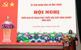 Xã Ứng Thiên triển khai kế hoạch phát triển sản xuất nông nghiệp năm 2026