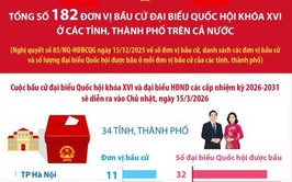 Hà Nội có 11 đơn vị bầu cử, số lượng đại biểu được bầu là 125 người