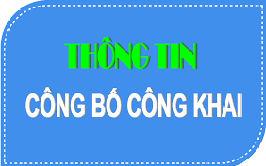 Quyết định công nhận hiệu quả áp dụng và phạm vi ảnh hưởng cấp phường của sáng kiến năm 2025