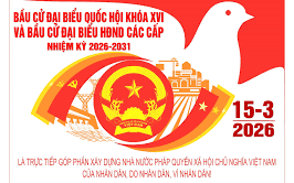 Mốc thời gian trước và sau khi diễn ra cuộc bầu cử đại biểu Quốc hội khóa XVI