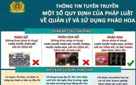 TÀI LIỆU TÌM HIỂU MỘT SỐ QUY ĐỊNH 
CỦA PHÁP LUẬT VỀ QUẢN LÝ, SỬ DỤNG PHÁO
