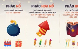 MỘT SỐ QUY ĐỊNH CỦA PHÁP LUẬT VỀ QUẢN LÝ, SỬ DỤNG PHÁO