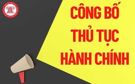Quyết định công bố Danh mục TTHC bị bãi bỏ lĩnh vực Quản lý đê điều và Phòng, chống thiên tai thuộc thẩm quyền giải quyết của UBND cấp xã trên địa bàn thành phố Hà Nội