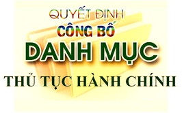 Quyết định số 100/QĐ-TTPVHCC ngày 18/02/2025 của Trung tâm phục vụ hành chính công