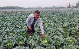 Nông dân Phú Xuyên làm giàu từ Nông nghiệp