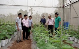Ông Nguyễn Hữu Hồng: Làm giàu nhờ trồng dưa lưới công nghệ cao trong nhà màng kính.