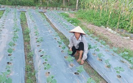 Chi hội trưởng phụ nữ tâm huyết với công tác Hội, giỏi lao động, sản xuất phát triển kinh tế