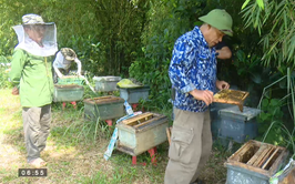 ÔNG ĐẶNG ĐÌNH PHONG LÀM GIÀU TỪ NGHỀ NUÔI ONG LẤY MẬT