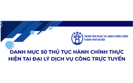 Danh mục 50 thủ tục hành chính thực hiện tại Đại lý Dịch vụ công trực tuyến
