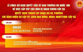 Lễ công bố các Nghị quyết và Quyết định về việc triển khai tổ chức đơn vị hành chính cấp xã