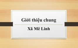 Giới thiệu chung về Xã Mê Linh, Thành phố Hà Nội