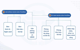 Sơ đồ tổ chức  HĐND, UBND phường Hà Đông