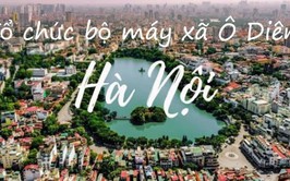 Tổ chức bộ máy