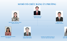 Giới thiệu Sơ đồ Bộ máy tổ chức phường Hồng Hà