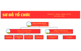 sơ đồ cơ cấu tổ chức