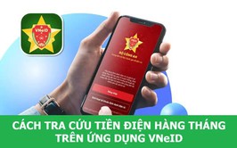 Cách tra cứu tiền điện hàng tháng trên ứng dụng VNeID
