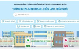 Sáng kiến số kết nối doanh nghiệp và chính quyền: Giảm giấy tờ, tiết kiệm chi phí