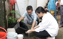 Phường Tây Hồ: Giám sát, xử lý kịp thời các ổ dịch sốt xuất huyết